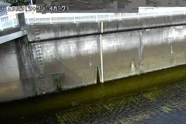 Fiume Shakujii al ponte Miyajuku, Nerima