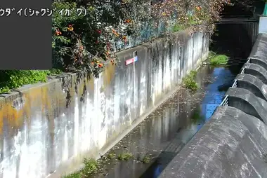 Fiume Shakujii a Mukodai, Nishitokyo