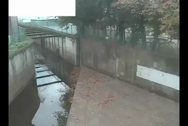 Fiume Shakujii a Shibakubo, Nishitokyo