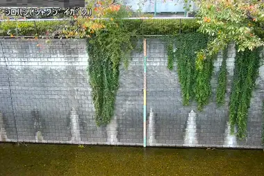 Fiume Shakujii al ponte Suzushiro, Nerima