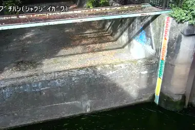 Fiume Shakujii al ponte Tamebuchi, Nerima