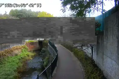 Fiume Shakujii a monte del ponte Tamebuchi, Nishitokyo