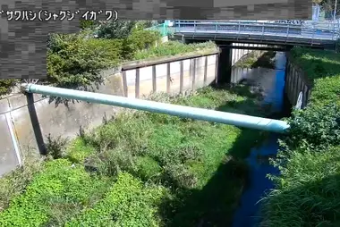 Fiume Shakujii al ponte Yagisawa, Nishitokyo