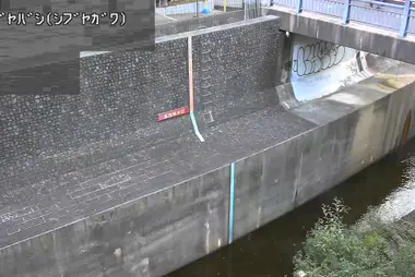 Fiume Shibuya al ponte Shibuya, Shibuya