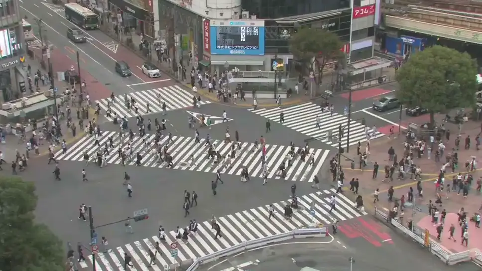 Live Webcam Shibuya Scramble Crossing, Tokyo