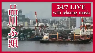 Terminal kontenerowy Shinagawa kamera na żywo