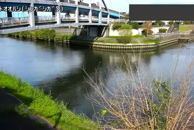Fiume Shingashi al ponte Funato Ohashi, Itabashi