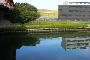 Fiume Shingashi al ponte Sasame, Itabashi