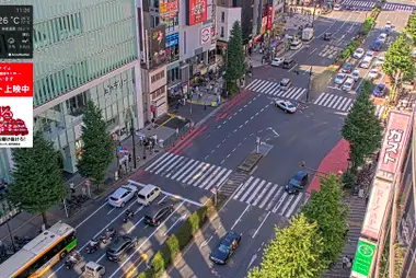 Shinjuku Ward Office Crossing, Kabukicho