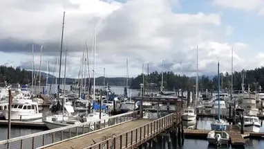 Shipyard Cove Marina, WA webcam dal vivo