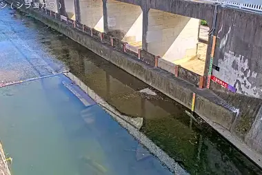 白子川・三ツ橋（練馬区）