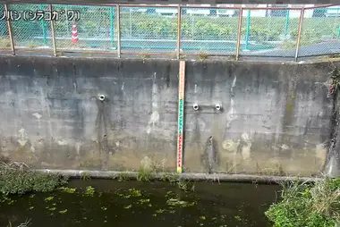 Fiume Shirako a Miya no Hashi, Nerima