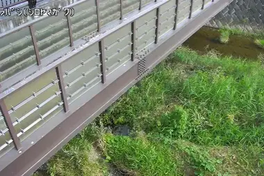 Shiroyama River at Mimura Bridge, Hachioji