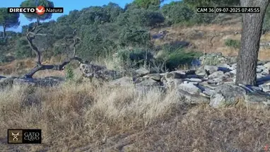 Sierra Morena, Jaén Live Cam
