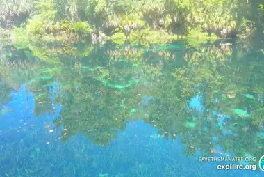 Park Stanowy Silver Springs, Ocala