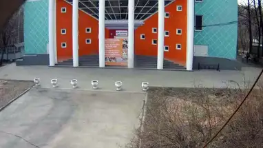 Kinderkunsthuis, Sokolniki Park, Moskou online-webcam