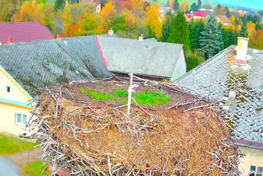 Stork Nest, Mlýnický Dvůr