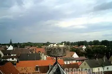 街の景色を望むコウノトリの巣、ドイツ