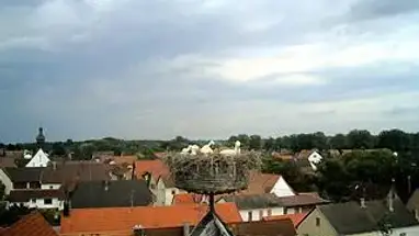 독일 도시 전망의 황새 둥지 웹캠 라이브 스트림