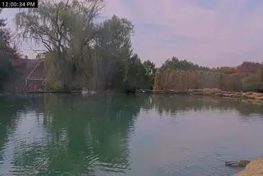 Étang aux cygnes, Valley City