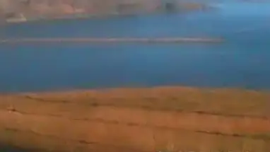 Taiaroa Heads, New Zealand Live Cam