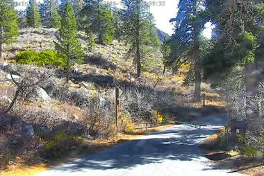 Tamarack, Mammoth Lakes