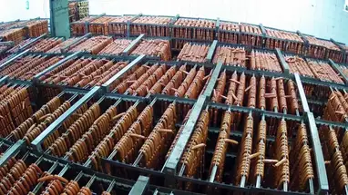 Warmtebehandeling van Rostov vleesverwerkingsfabriek online-webcam