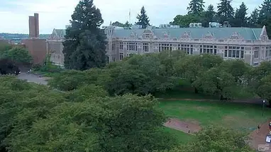 UW The Quad Cherry Blossom phát trực tiếp qua webcam