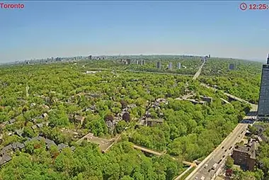 Toronto East York live, ON
