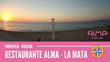 Restaurant Alma La Mata, Alicante Live Cam