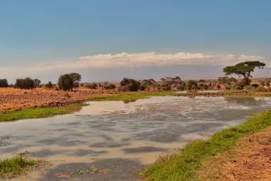 Abrevadero Tortilis Camp, Amboseli