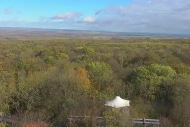 Treetop Walk, Hainich National Park