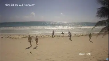 टुलम बीच, क्विंटाना रू लाइव वेबकैम प्रसारण