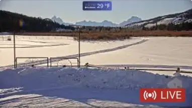 Rancho Turpin Meadow cámara web en vivo