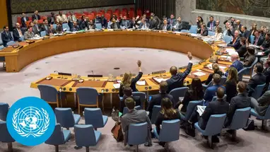 The United Nations Web TV Channel Live Cam