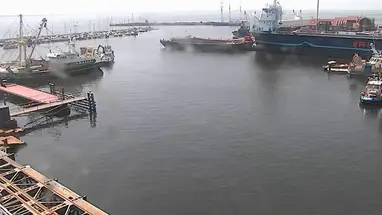 Werkhaven, Urk webcam ao vivo
