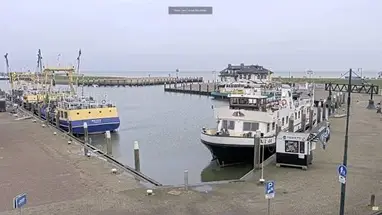 Haven Oudeschild Texel, Nordholland Online-Webcam