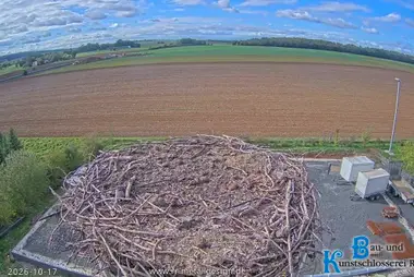White Stork Nest, Hungen