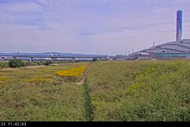 Yamato River Levee, Matsubara