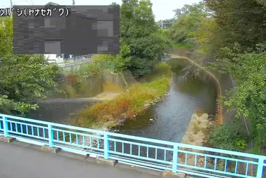 Fiume Yanase al ponte Akitsu, Higashimurayama