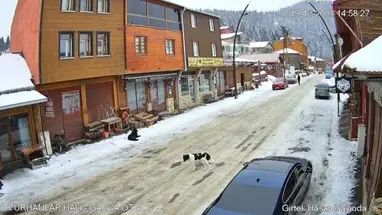 Yavuz Kemal Kulakkaya Plateau Live Cam