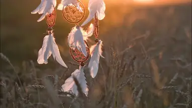 Jelisejevs Voedselhal online-webcam