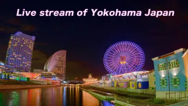 Passeio Kishamichi, Yokohama webcam ao vivo