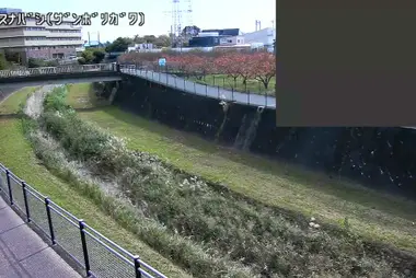 Fiume Zanbori al ponte Shimosuna, Tachikawa