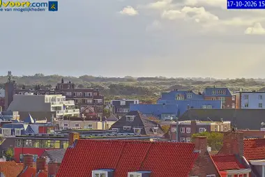 Dächer und Dünen von Zandvoort