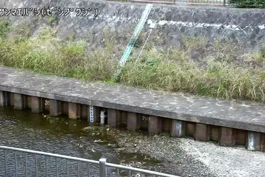 Rivière Zenpukuji au pont Hakusanmae, Suginami
