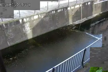 Rivière Zenpukuji au pont Hara, Suginami