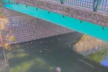 善福寺川·宫下桥（杉并区）