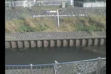 Rivière Zenpukuji au pont Nishitabata, Suginami