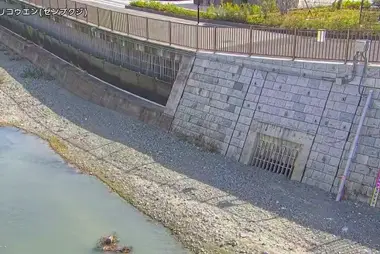 Rivière Zenpukuji à l'étang du parc Wadabori, Suginami